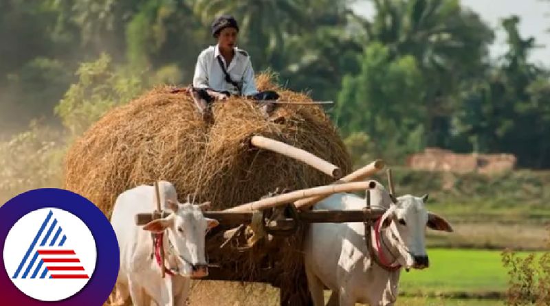 Blocking bullock cart path in field is illegal Govt instruction bengaluru rav