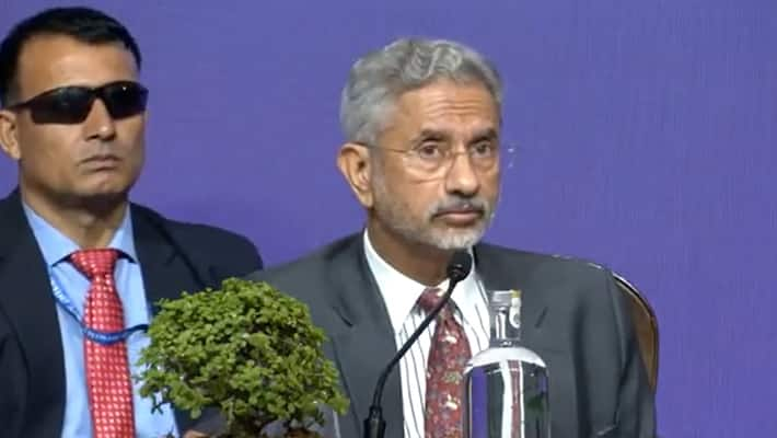 Would Like To Resume Visas If...: S Jaishankar Amid India-Canada Row sgb