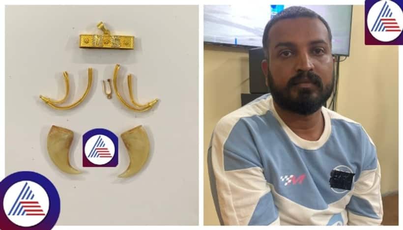 Bigg Boss Kannada contestant Varthur Santosh granted bail in Tiger claw pendant case
