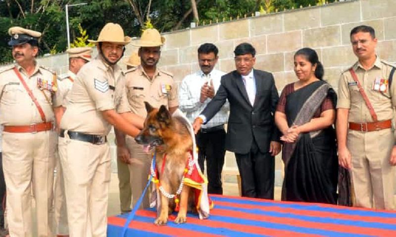 police dog named tippu retired after ten years of service in chikkamagaluru gvd