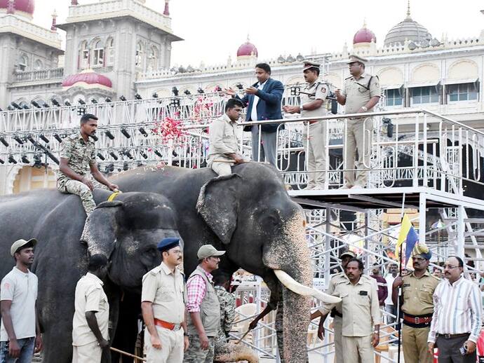 Mysuru Dasara 2023: Captain Abhimanyu to carry Ambari for 4th consecutive time