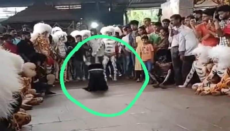 Man Injured while Performing Tiger Dance at Mangaluru Mangala Devi Temple grg