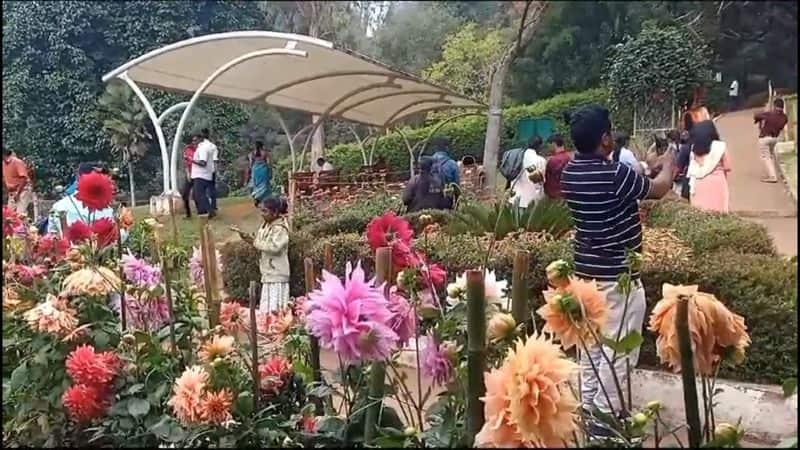 many of tourists visit sims park at coonoor for pooja holidays vel