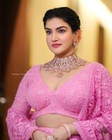 గులాబీ అందాలతో.. కుర్రాళ్ల గుండెల్లో గుబులు పుట్టిస్తున్న హనీ రోజ్