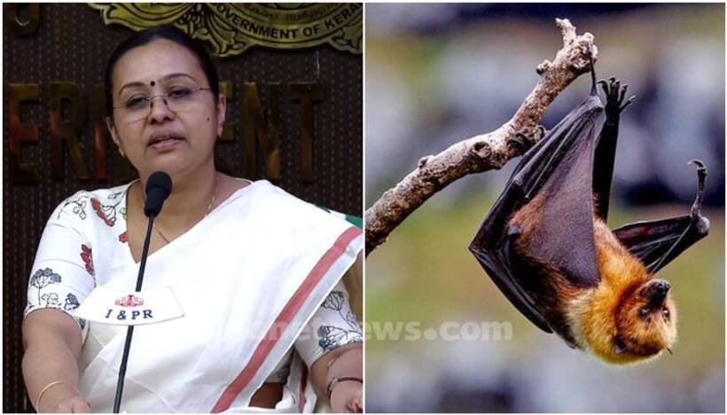 ICMR confirms presence of Nipah virus in bats in Kerala's Wayanad