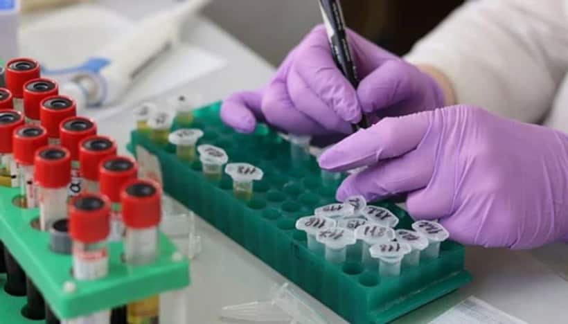 Suspected Chandipura virus outbreak claims young lives in THIS state: Here's what you should know