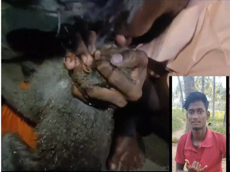 youngman first aid to monkey which injured electric shock in vellore district video goes viral vel