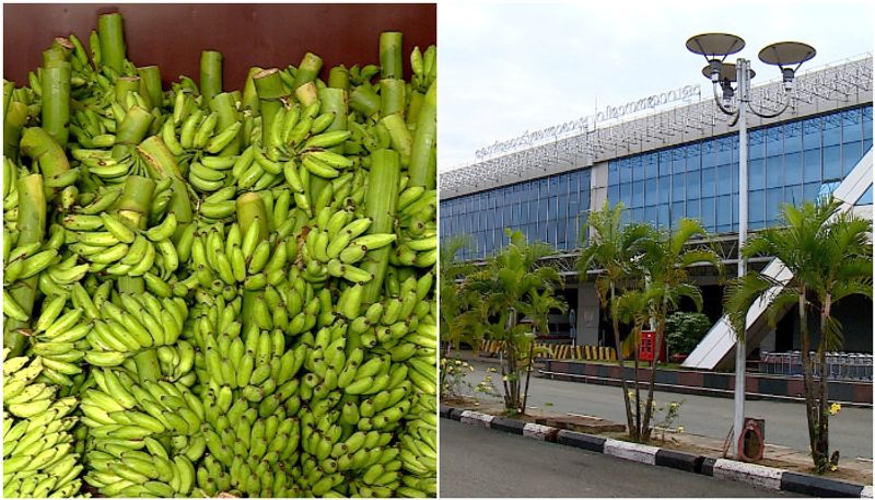 Export-import of vegetables in limbo as Nipah virus restrictions continue at Karipur airport anr