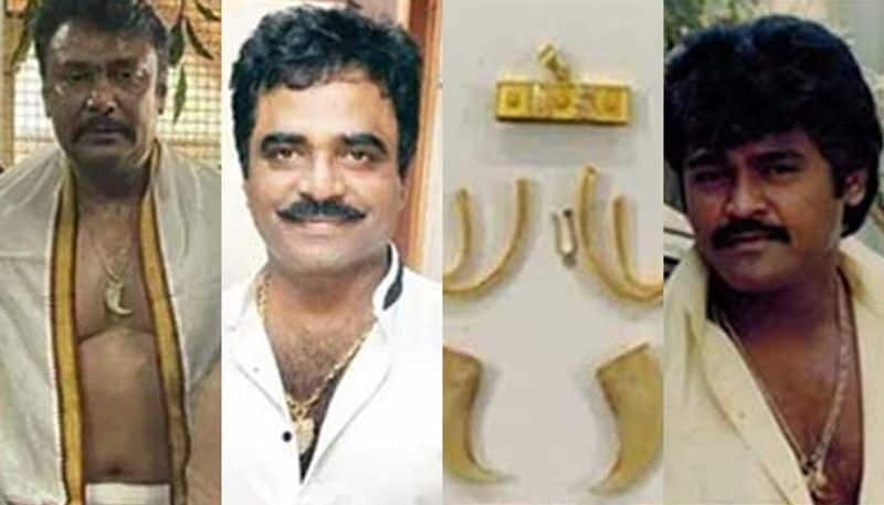 Tiger Claw Fox teeth elephant tail hair Why celebrities go for wildlife Karnataka san