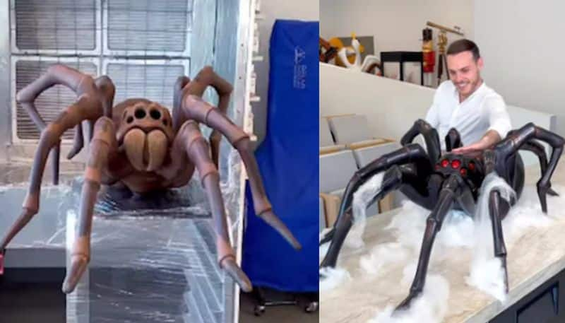 Giant Chocolate Spider Is Viral Now azn 