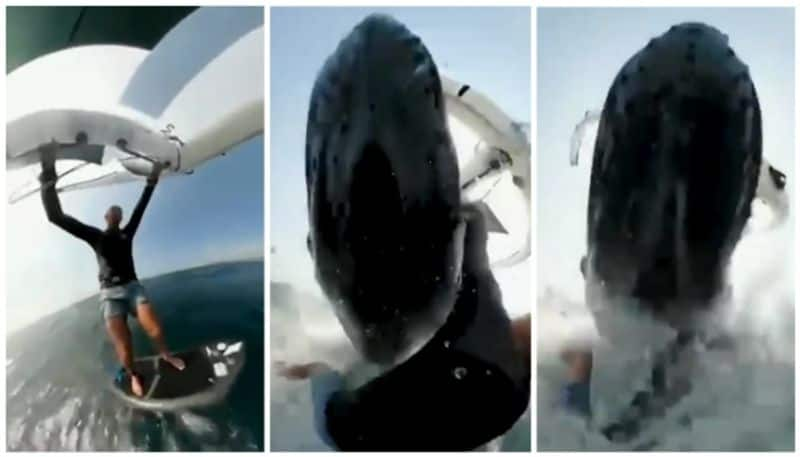 video of the surfing star falling into the sea after hitting a humpback whale while surfing bkg