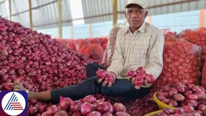 Will onion price in Karnataka breach Rs 100 mark soon? Check details vkp