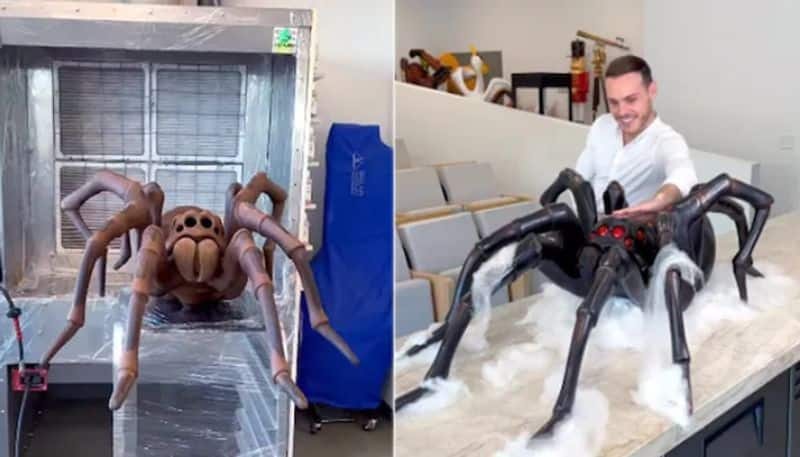 chef making huge spider with chocolate hyp