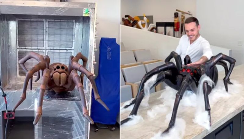 chef making huge spider with chocolate hyp