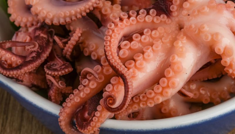 82 year old man dies after eating live octopus dish while octopus tentacles chocked etj