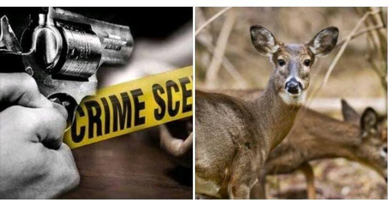 The forest department shot a person who went to hunt wild animals in Theni area KAK