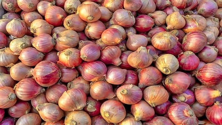 The central government has said that onion prices will come down as the kharif crop has started coming again KAK