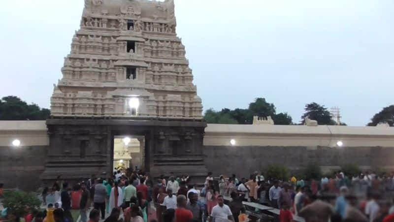 Annabhishekam at Vellore sri jalakandeswarar temple tvk