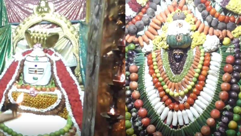 Annabhishekam at Vellore sri jalakandeswarar temple tvk