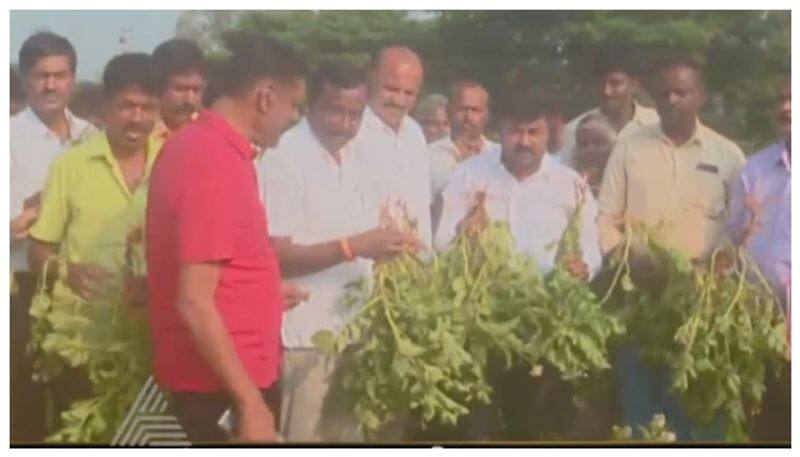 KOlar farmers not get potato crops nbn