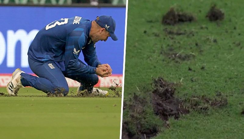 cricket ODI World Cup 2023: Ekana Stadium's poor outfield raises questions after the India vs England fixture osf