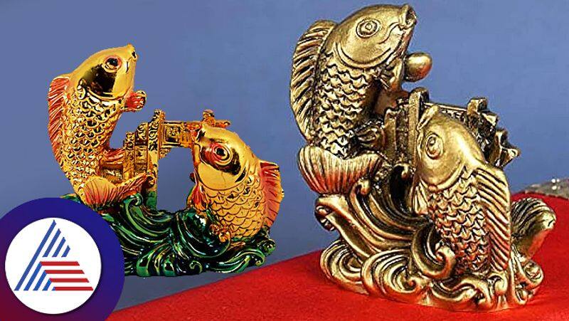 Feng shui tips to keep fish pair at home for good luck pav