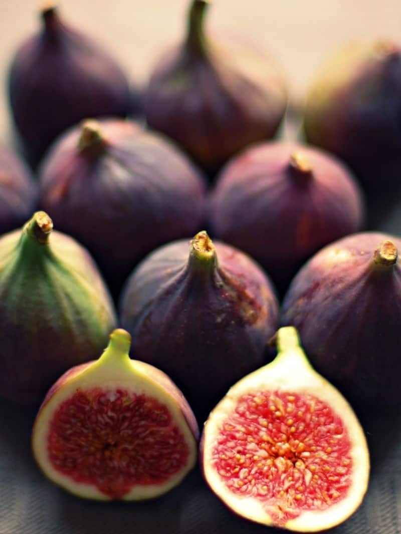 Are there insects inside Figs? Know about Fig-Wasp symbiosis vkp