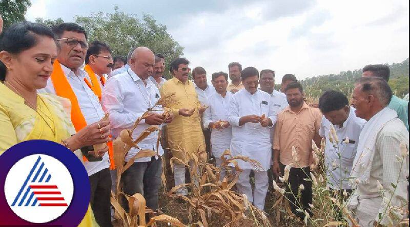 Farmer destroys crops in front of BJP drought study team at haveri rav