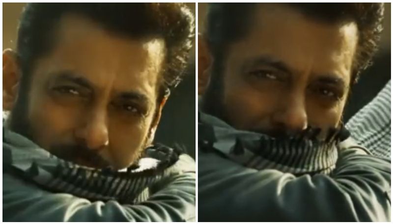 Tiger 3: Salman Khan fans gear up for movie release; wear his iconic scarf in excitement