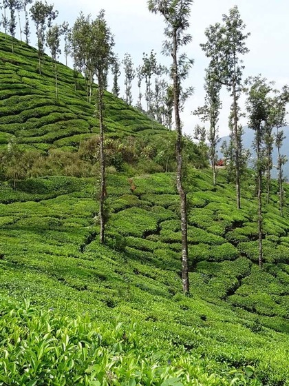 Coorg