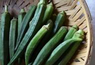 Unlock the life-changing benefits of ladys finger okra bhindi iwh