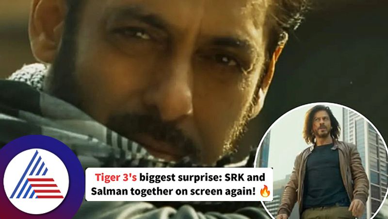 Salman Khans  Tiger is releasing for Diwali Shah Rukh fans surprise suc