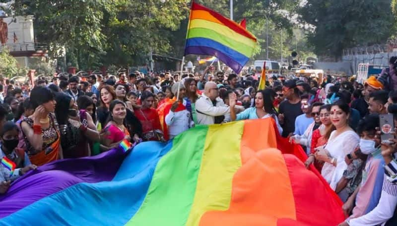 Same Sex Marriage petitioners seek review on supreme courts order ans 