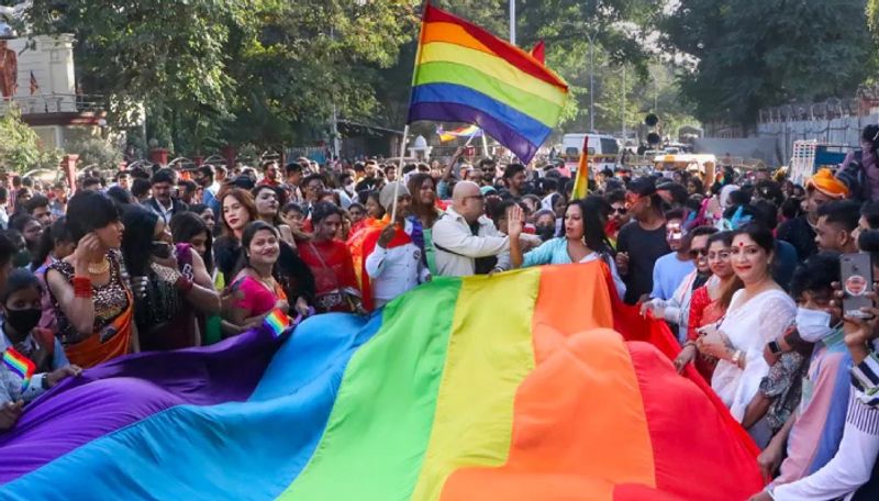 Same Sex Marriage petitioners seek review on supreme courts order ans 