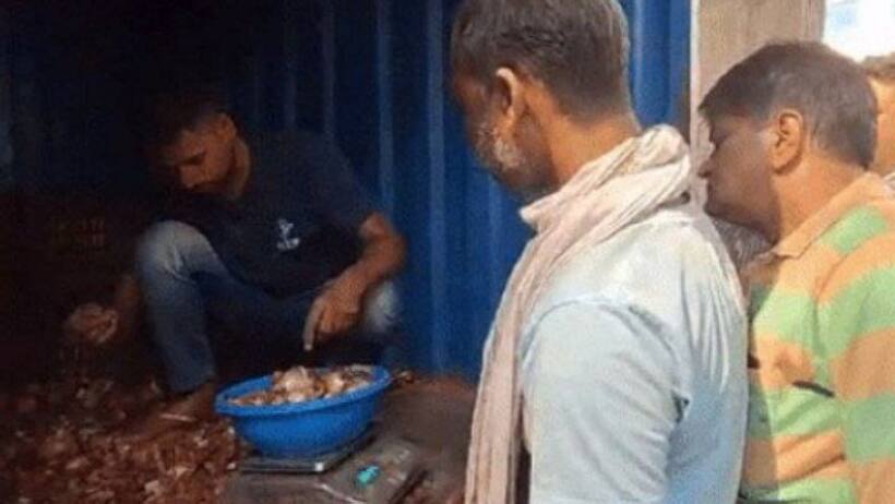 Onion market trends: जयपुर में 5 किलो प्याज सिर्फ 25 रुपए में...जानिए कैसे खरीद सकेंगे सस्ते में?