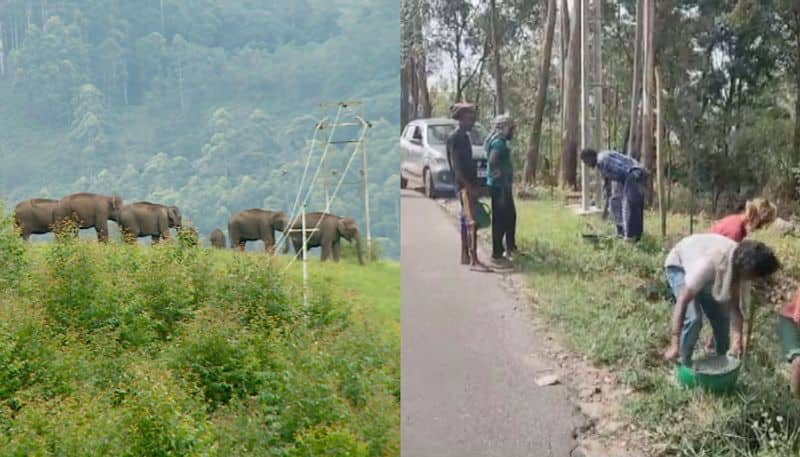 Forest department ignores plea of localites natives construct electric fencing for 6 kilometer in own expense in Marayoor etj