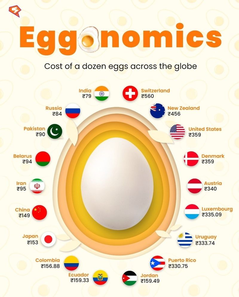 dozen Eggs prices by country around the world on October 2023 check  here-sak