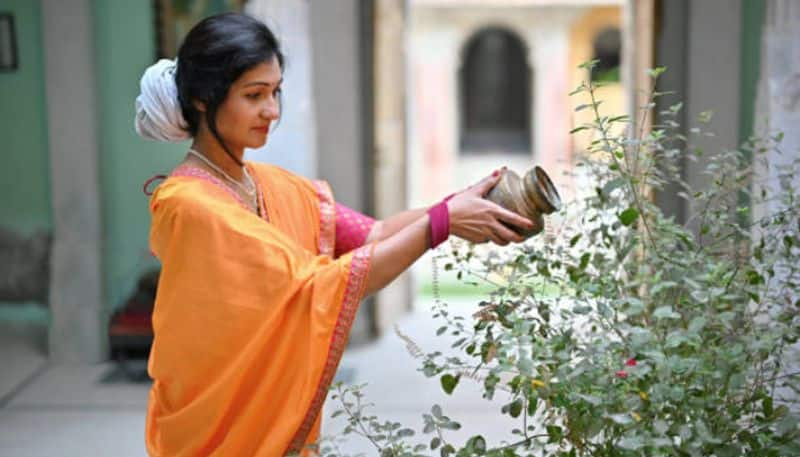 kartika masam 2023: Do these remedies for Tulsi in kartika masam, marriage will happen soon rsl