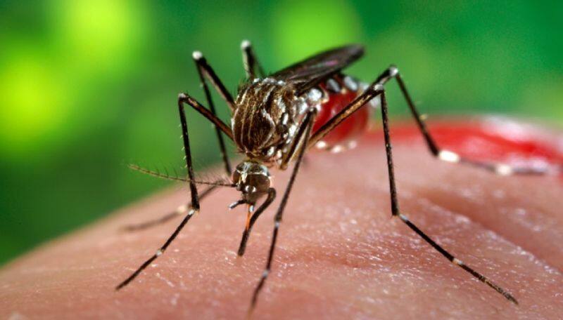 Government Guidelines For Zika Virus in Karnataka grg 