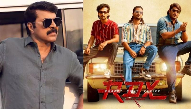 top sevan mollywood movies in uk and ireland kannur squad rdx mammootty nrn