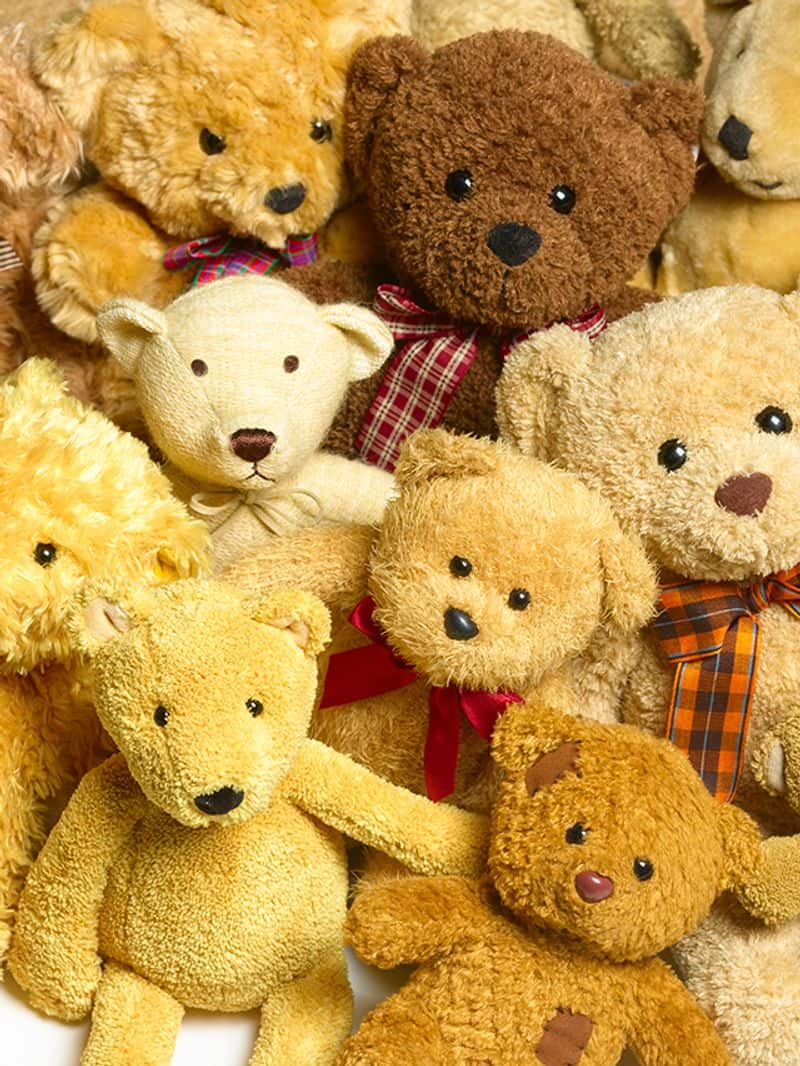 5 disadvantages of having stuffed toys RKK