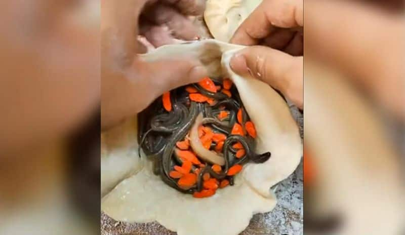 Virat Video: Man stuffing live worms inside momos in China leaves internet disgusted (WATCH) snt