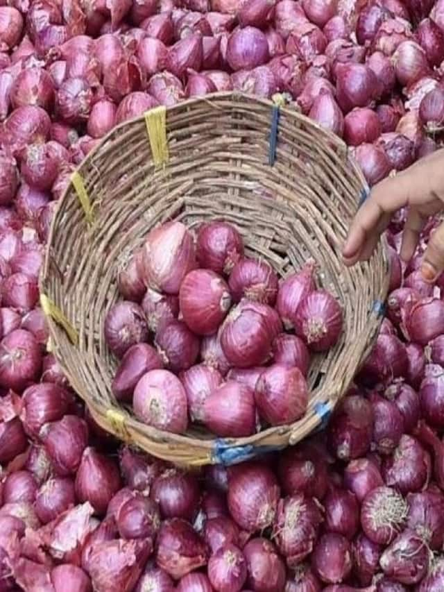 Onion Price at peak tamilnadu govt says pannai pasumai kadaigal sells at rs 30 Rya