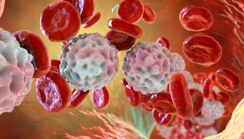 World Cancer Day 2024: Know the truths and myths of Blood Cancer RBA