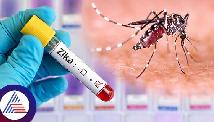 Zika virus