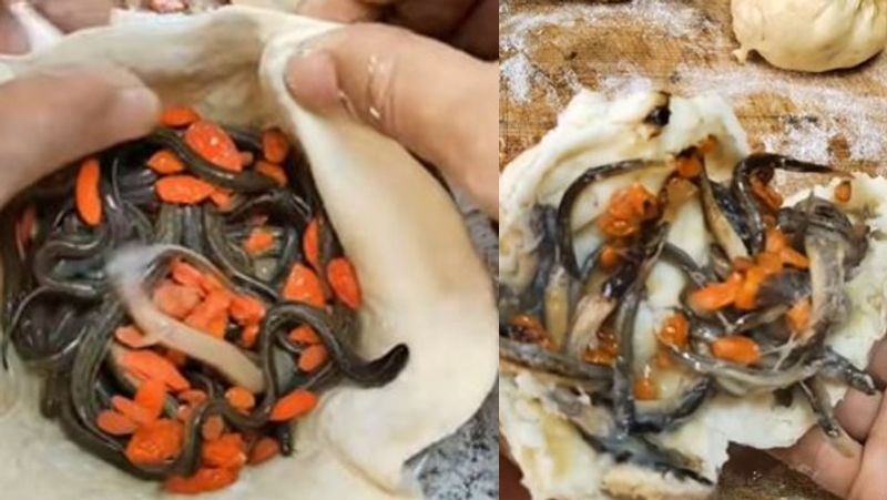 Disgusting Momos made with live worms inside netizens who vomited in the comments after watching this viral video akb