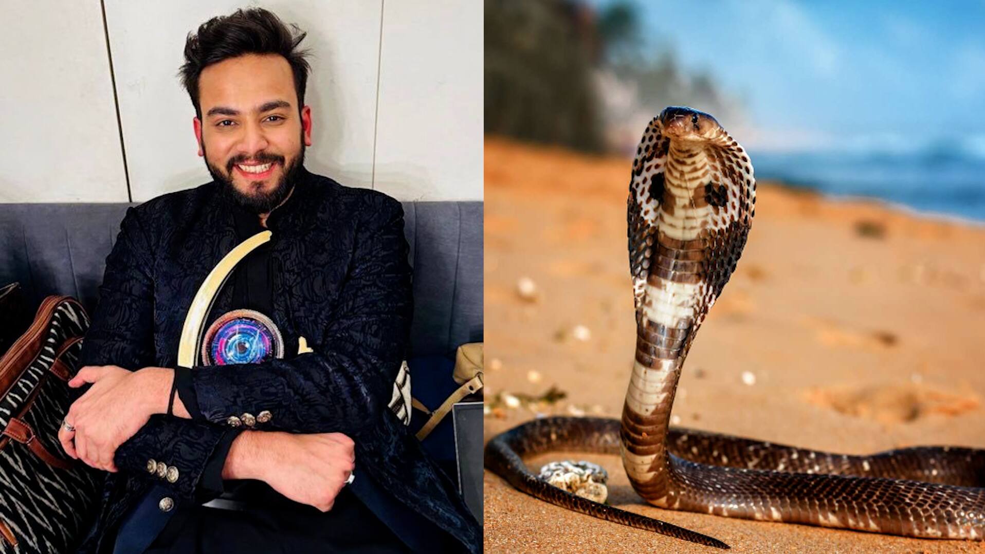 Complaint filed against Elvish Yadav for intoxication of snake venom at rave party bsm