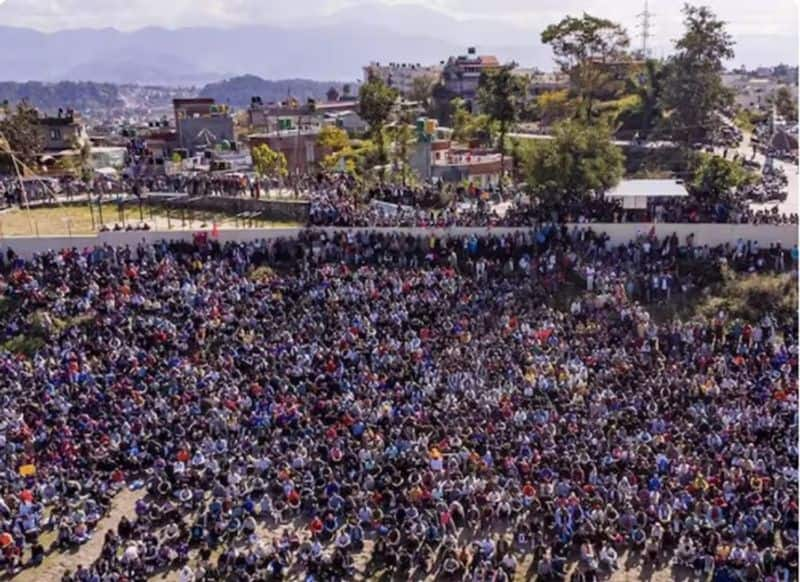 Pure madness! Epic scenes as Nepal clinches T20 World Cup 2024 spot with win over UAE (WATCH) snt