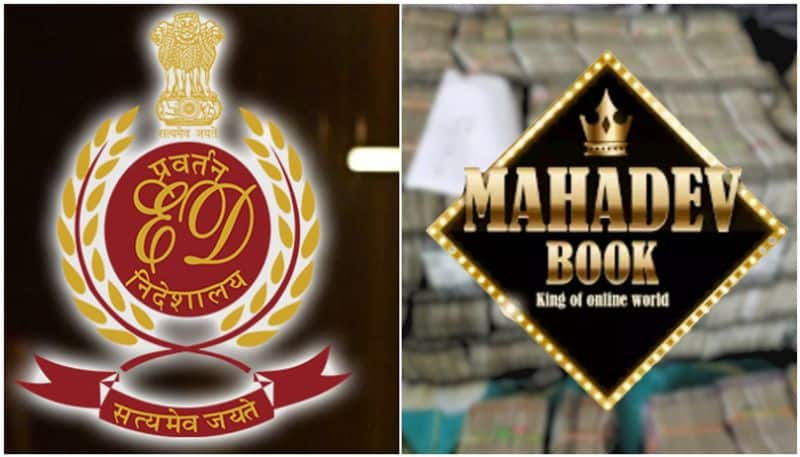 Mahadev app among 22 illegal online betting platforms blocked by MeitY sgb