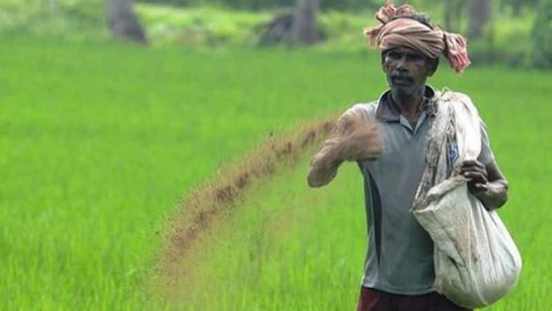 Scarcity of fertilizers in Cauvery irrigated districts...Government should take steps to make them abundantly available.. Ramadoss tvk